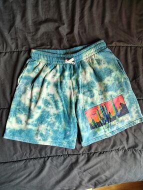 Brooklyn Cloth Teal Tie-Dye DEATH VALLEY Arizona Shorts with Desert Graphic